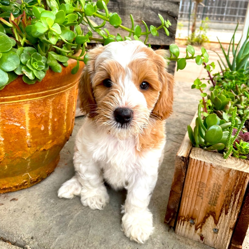 Meet your Posher, Melynda